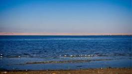 Tour to Fayoum Oasis from Cairo