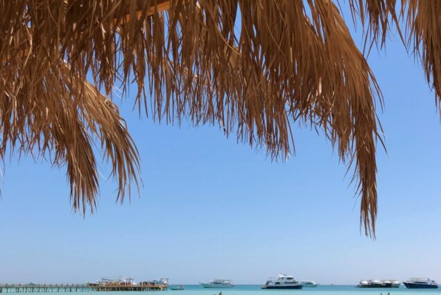 8 Day Tour package Cairo and Sharm El sheikh