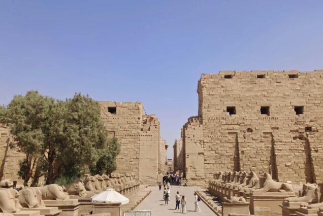 Day trip to Tanis from Cairo
