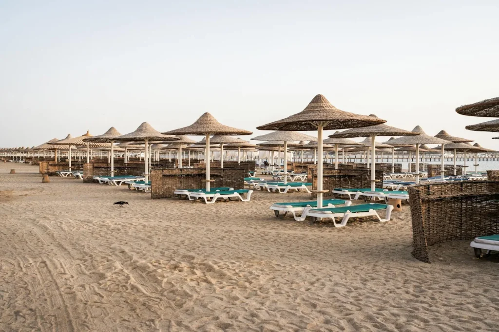 A serene view of straw sun umbrellas on the sandy beach of Hurghada, Egypt.