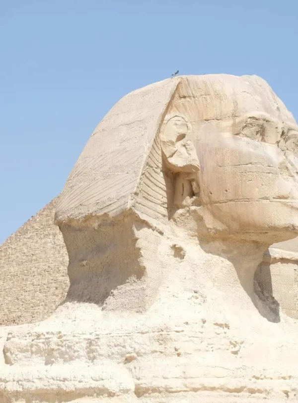 The Great Sphinx of Giza with its majestic and iconic presence set against a clear blue sky.