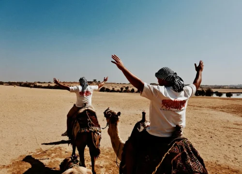 Best of El Fayoum Day Trip from Cairo – Waterfalls, Salt Lakes & Wadi El Rayan