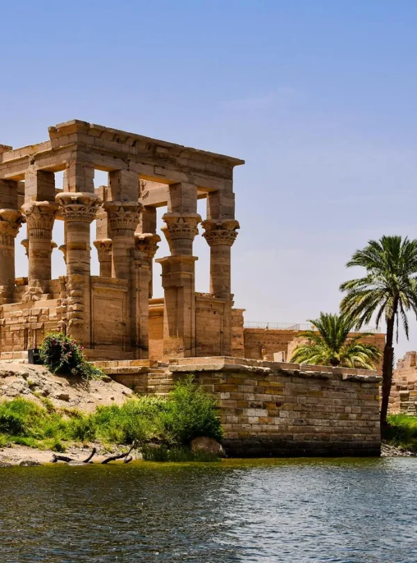 Ancient temple ruins near the Nile River with a palm tree and clear sky.