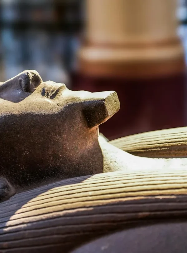 Close-up of an ancient Egyptian sarcophagus on display in a museum, showcasing intricate details.
