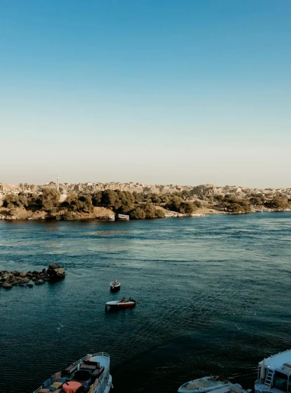 A picturesque view of Aswan's Nile River with boats and lush shoreline under a clear blue sky.