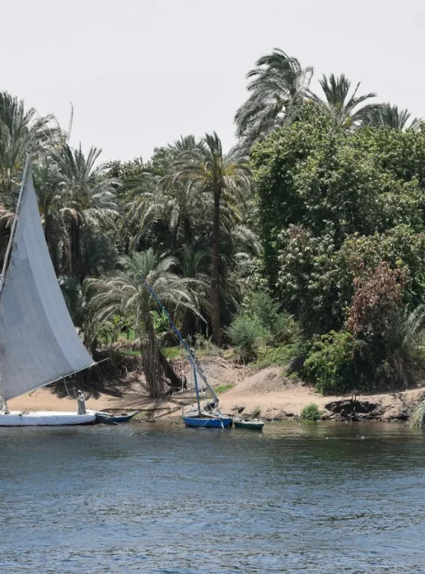 Scenic view of a traditional sailboat on the Nile River with lush greenery.