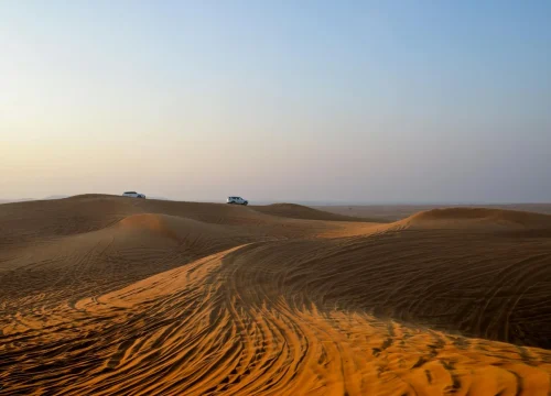 Siwa Oasis Adventure & Al Alamein Tour from Cairo