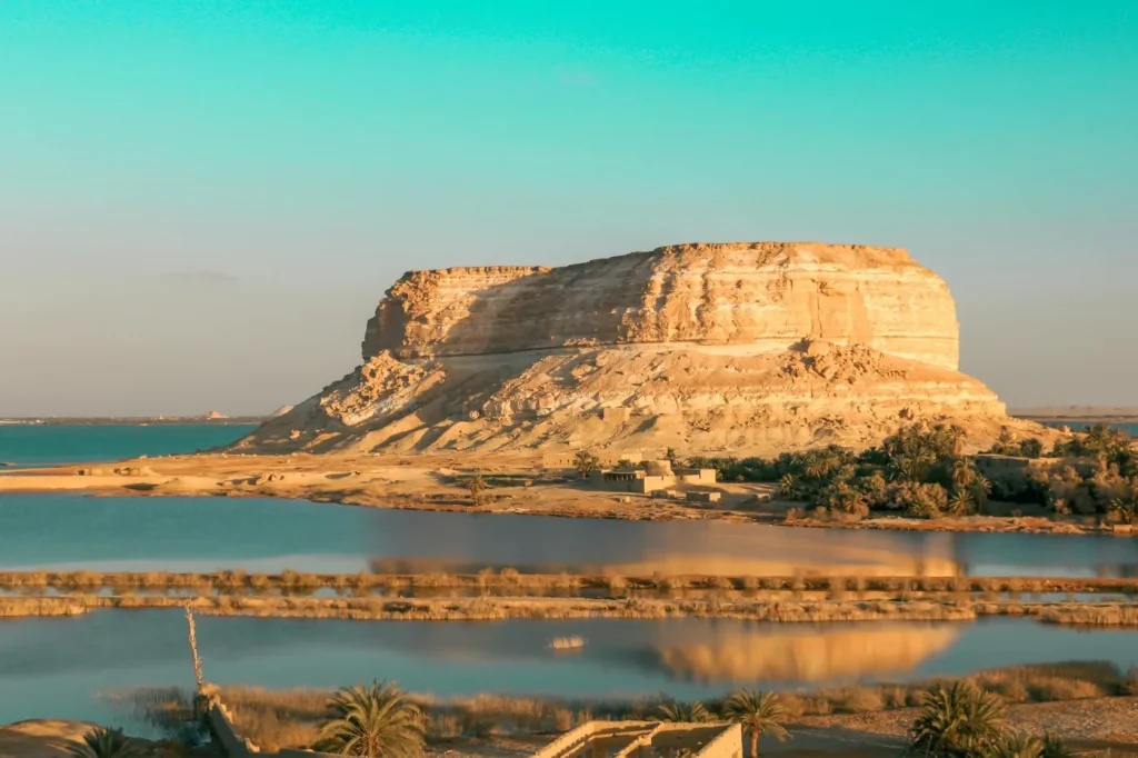 Tour to Fayoum Oasis from Cairo – Lake Qarun & Wadi El Rayan