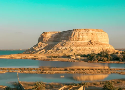 Tour to Fayoum Oasis from Cairo – Lake Qarun & Wadi El Rayan