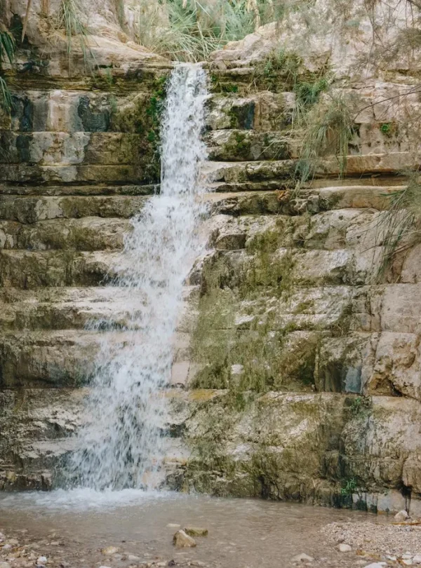 Beautiful waterfall cascading over mossy rocks in the serene landscape of Ein Gedi, Israel.