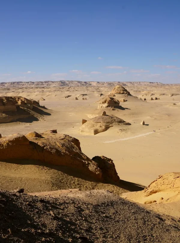 A breathtaking view of the Egyptian desert with unique rock formations under a bright clear sky.