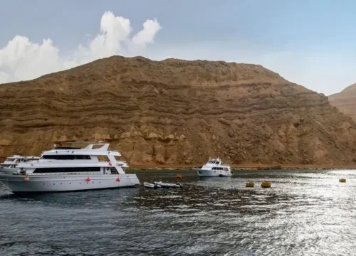 Snorkeling Trip by boat to Tiran island