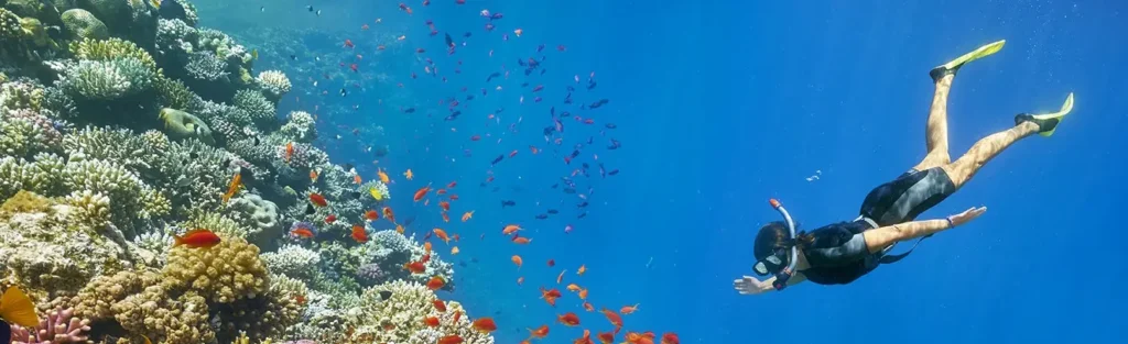 Snorkeling Trip to Giftun Island