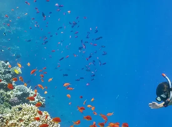 Snorkeling Trip to Giftun Island