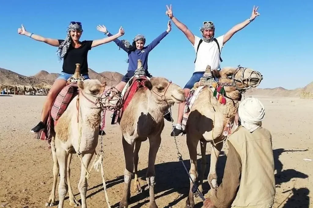 Camel and Horse Rides with EgyptianTrip travel company