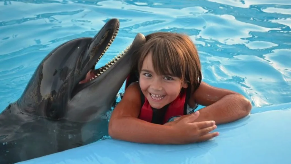 Dolphin Watching Trip in hurghada with EgyptianTrip travel company