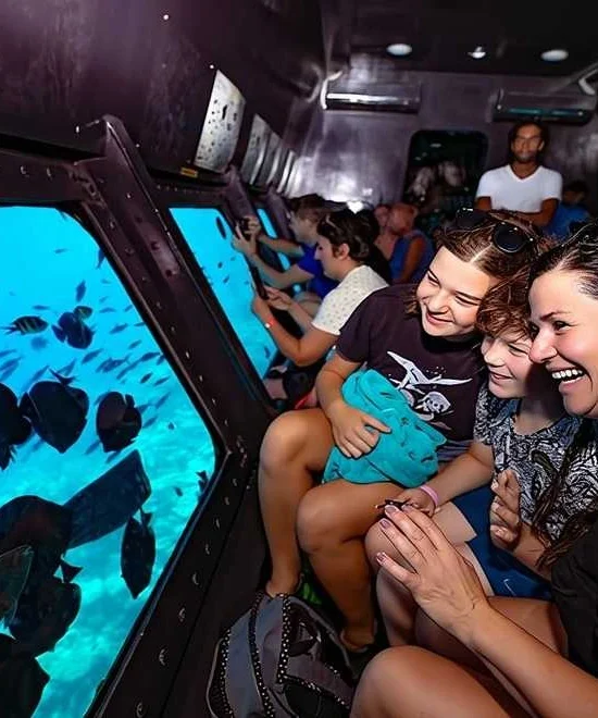 Family Trip to Hurghada,​ Mega Combo in One Day 🐬🐪🤿